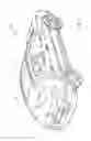 Fig. 02 - Light emissive plastic glazing having a multilayered configuration for illuminating passenger compartment