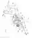 Fig. 10 - Bicycle-carrying device for motor-vehicles