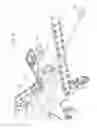 Fig. 17 - Bicycle-carrying device for motor-vehicles