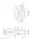 Fig. 11 - Shape-changing surface