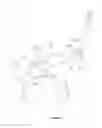 Fig. 04 - Baby carriage