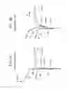 Fig. 09 - Vehicle body structure