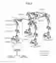 Fig. 03 - Mobile robot and front end tool
