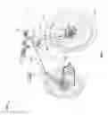 Fig. 02 - Bicycle steerer tube with variant stiffness