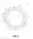 Fig. 06 - Multiple sprocket assembly for a bicycle