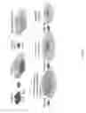 Fig. 05 - Multifunctional balloon membrane