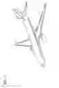Fig. 02 - Trim adjustment device, aircraft, and method of performing trim adjustment