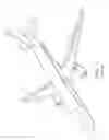 Fig. 02 - DEVICE FOR REMOVING DEBRIS FROM AN AERODYNAMIC STRUCTURE