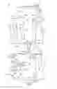 Fig. 02 - CARTON FOR DISPENSING ARTICLES