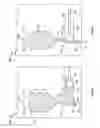 Fig. 09 - Elastic bladder dispenser