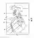 Fig. 13 - Apparatuses, systems, and methods for transporting medications from a central pharmacy to a patient in a healthcare facility