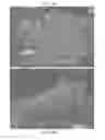 Fig. 05 - Large scale production of thinned graphite, graphene, and graphite-graphene composites