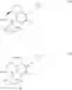 Fig. 13 - Process of asymmetric hydrogenation of ketals and acetals