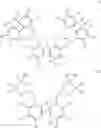 Fig. 04 - Bisphosphites having a central 2,3′-biphenol unit