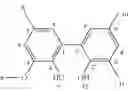 Fig. 09 - Bisphosphites having a central 2,3′-biphenol unit