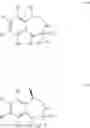 Fig. 35 - PROCESSES FOR PREPARING 3-BENZAZEPINES