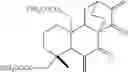 Fig. 124 - 15-oxospiramilactone derivatives, preparation method and uses thereof