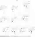 Fig. 20 - 15-oxospiramilactone derivatives, preparation method and uses thereof