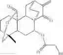 Fig. 40 - 15-oxospiramilactone derivatives, preparation method and uses thereof