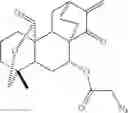 Fig. 41 - 15-oxospiramilactone derivatives, preparation method and uses thereof