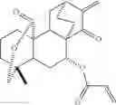 Fig. 43 - 15-oxospiramilactone derivatives, preparation method and uses thereof