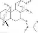 Fig. 45 - 15-oxospiramilactone derivatives, preparation method and uses thereof