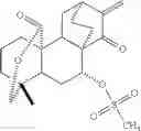 Fig. 53 - 15-oxospiramilactone derivatives, preparation method and uses thereof