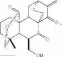 Fig. 66 - 15-oxospiramilactone derivatives, preparation method and uses thereof