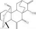 Fig. 71 - 15-oxospiramilactone derivatives, preparation method and uses thereof