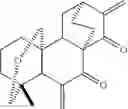 Fig. 84 - 15-oxospiramilactone derivatives, preparation method and uses thereof