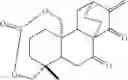 Fig. 93 - 15-oxospiramilactone derivatives, preparation method and uses thereof