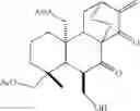 Fig. 98 - 15-oxospiramilactone derivatives, preparation method and uses thereof