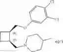 Fig. 111 - 1,2-disubstituted cyclobutyl compounds