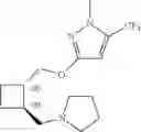 Fig. 126 - 1,2-disubstituted cyclobutyl compounds