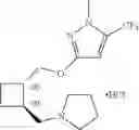 Fig. 129 - 1,2-disubstituted cyclobutyl compounds