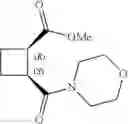 Fig. 13 - 1,2-disubstituted cyclobutyl compounds