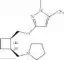 Fig. 40 - 1,2-disubstituted cyclobutyl compounds