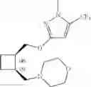 Fig. 41 - 1,2-disubstituted cyclobutyl compounds