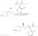 Fig. 212 - Indole derivatives as modulators of methyl modifying enzymes, compositions and uses thereof