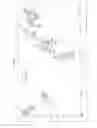 Fig. 07 - Novel Salts of Raltegravir