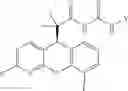 Fig. 106 - Imide and acylurea derivatives as modulators of the glucocorticoid receptor