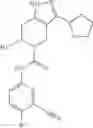 Fig. 124 - Derivatives and methods of treating hepatitis B infections