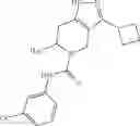 Fig. 304 - Derivatives and methods of treating hepatitis B infections