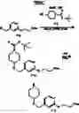Fig. 868 - TRIAZOLOPYRIDINE COMPOUNDS, COMPOSITIONS AND METHODS OF USE THEREOF