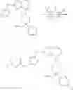 Fig. 997 - TRIAZOLOPYRIDINE COMPOUNDS, COMPOSITIONS AND METHODS OF USE THEREOF