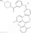 Fig. 623 - Compounds and methods for inhibiting mitotic progression