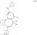 Fig. 655 - Compounds and methods for inhibiting mitotic progression