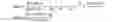 Fig. 04 - PROCESS FOR PREPARING OXYCODONE COMPOSITIONS
