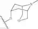 Fig. 259 - 5-HT3 receptor antagonists