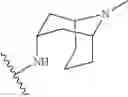 Fig. 29 - 5-HT3 receptor antagonists
